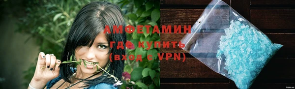дмт Богданович