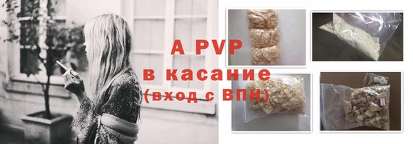 дмт Богданович