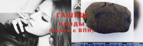 дмт Богданович