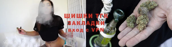 дмт Богданович
