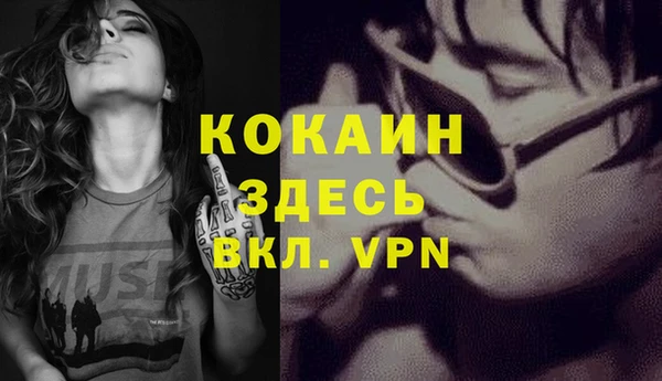 дмт Богданович