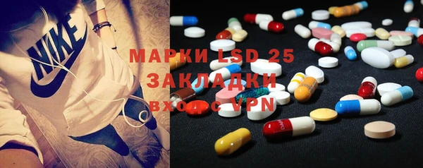 дмт Богданович
