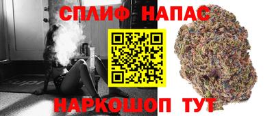 прущие грибы Краснознаменск