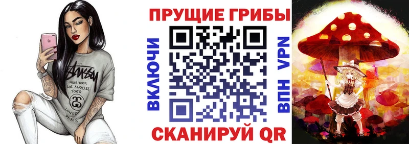 Псилоцибиновые грибы MAGIC MUSHROOMS  Городец 