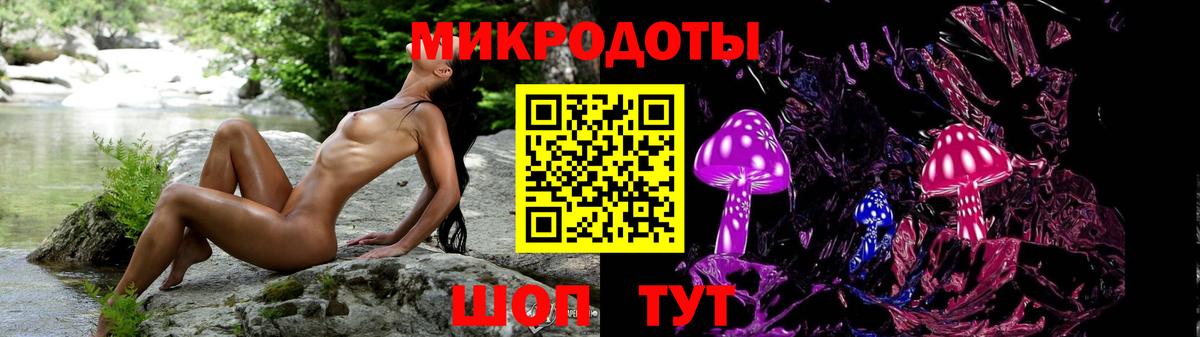 Псилоцибиновые грибы Psilocybine cubensis  Галлюциногенные грибы GOLDEN TEACHER  Городец  Вход с VPN 